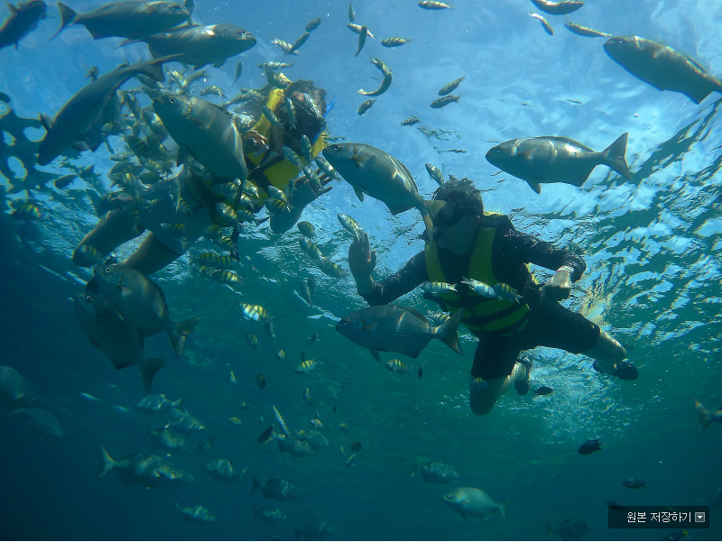 [보홀] 가이드맨 덕분에 좋은시간 즐기고 왔습니다.(벤 가이드님 감사합니다)