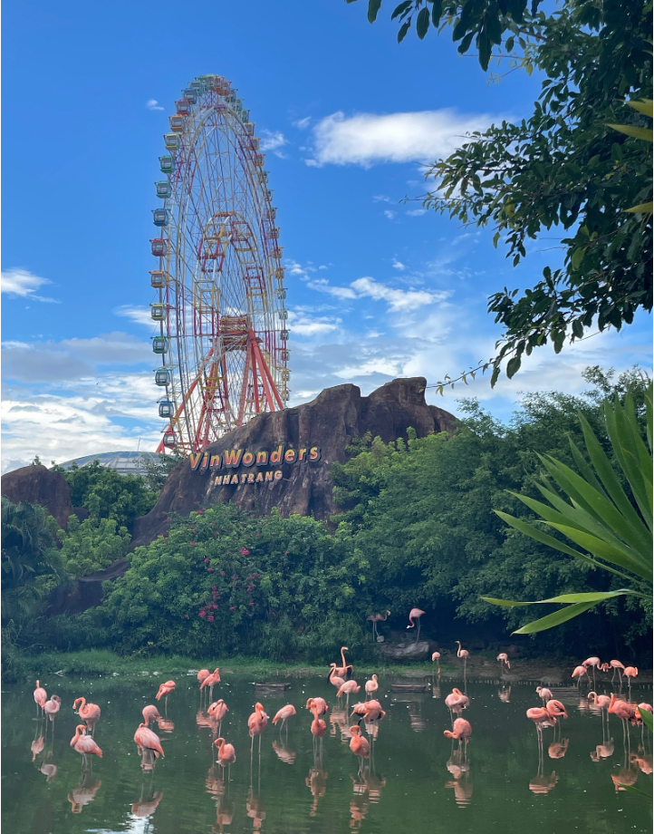 [나트랑] [여행 후기] 나트랑에서 추석 힐링 (W. 문희 가이드님S2)