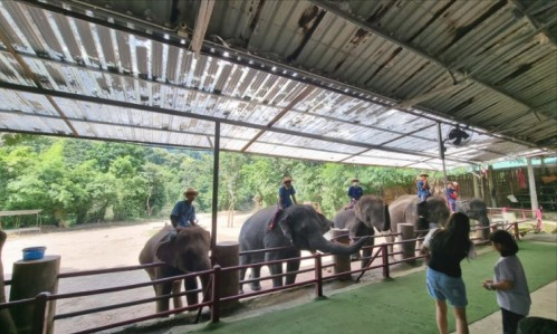 [치앙마이] 행복했던 치앙마이