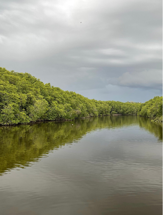 [코타키나발루] 한시도 빠지지않고 행복했던 코타 ✈️(안젤라가이드님 모르는분 없게해주세요 최고예요????????)