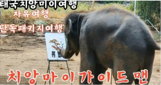 [치앙마이] [공유] 내돈내산/치앙마이여행후기