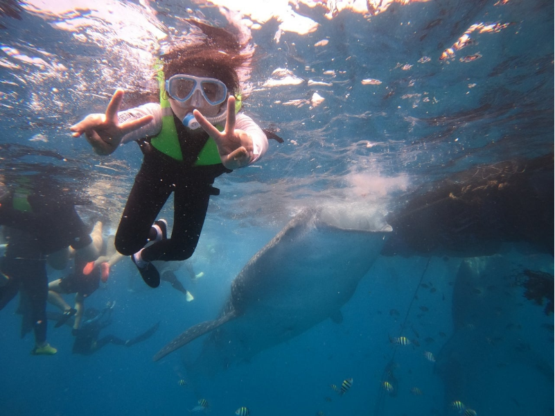[보홀] 자레드님을 만난건 저희에게 큰 행운이었습니당.~♡