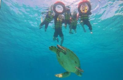 [보홀] 보홀여행 2024.9.26-9.30(with 민가이드님)