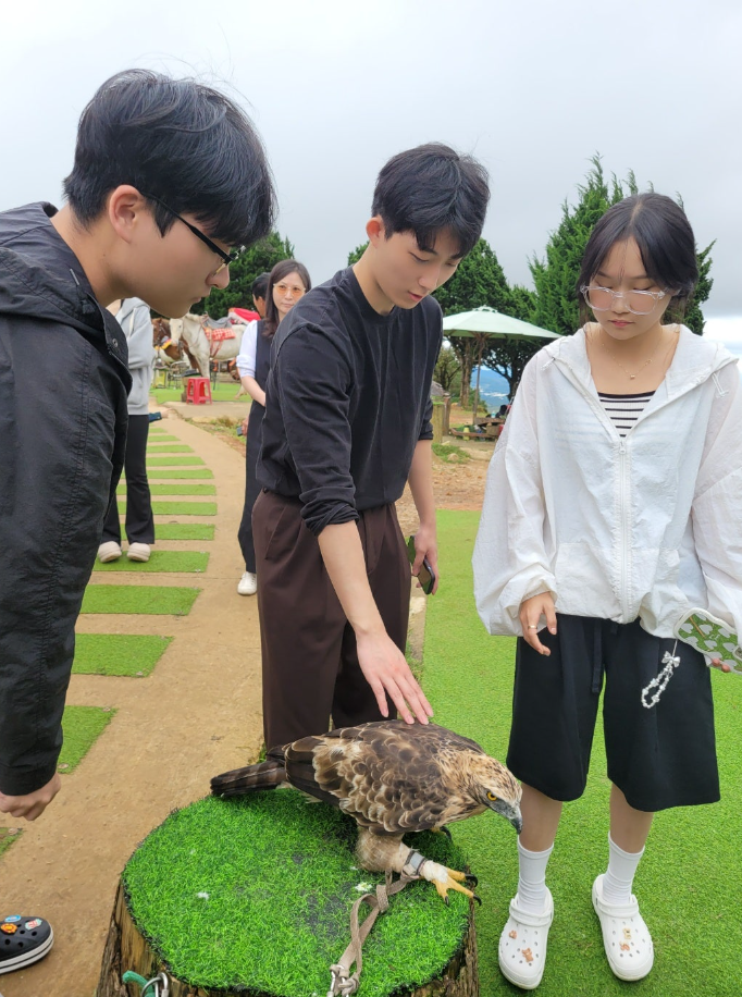 [나트랑] 3박5일 베트남 여행