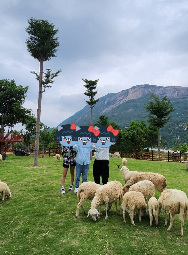 [나트랑] 2024.10.22~10.26 달랏,나트랑,판랑 3박5일 <보탄녹 가이드님>