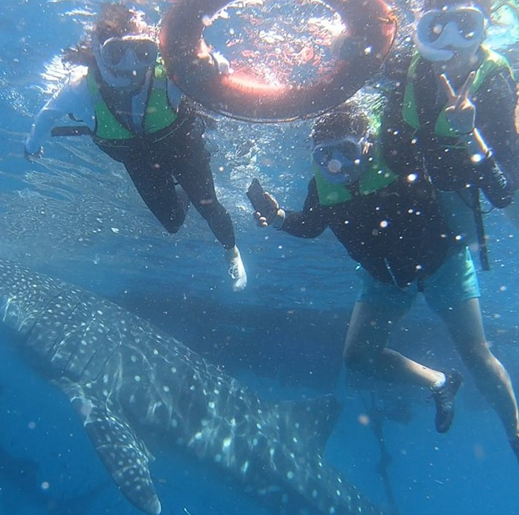 [보홀] 10월 16일ㅡ20일 /3박 5일 보홀여행 (with 에이든가이드님)