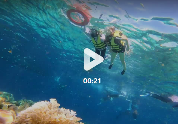 [보홀] 엠마가이드님과 함께한 보홀여행 후기~^^