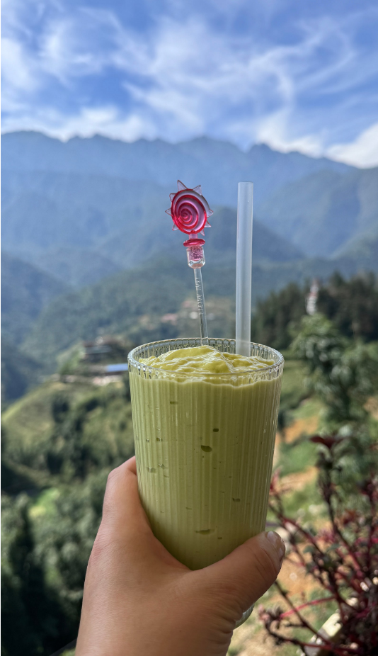 [하노이] 하노이//하롱베이/사파_5박6일_ 단독