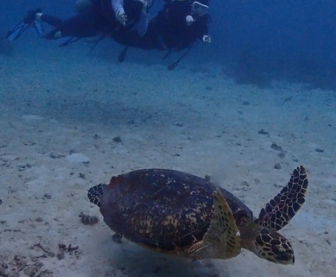 [보라카이] 보용 가이드님과 함께 보라카이 여행 3박 5일 후기!