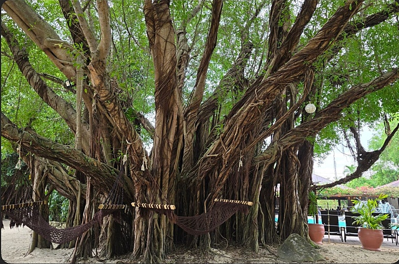 [세부] 한나가이드님과 함께한 3박5일 행복했던 세부여행~^^*