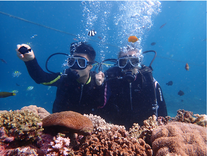 [세부] 필리핀,세부 그리고 쉼...