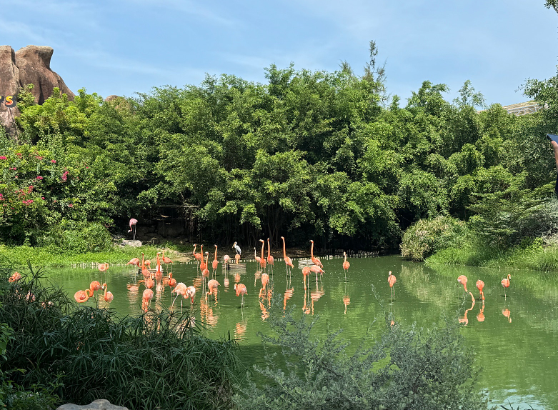 [나트랑] 미인가이드님과 나트랑 3박5일????