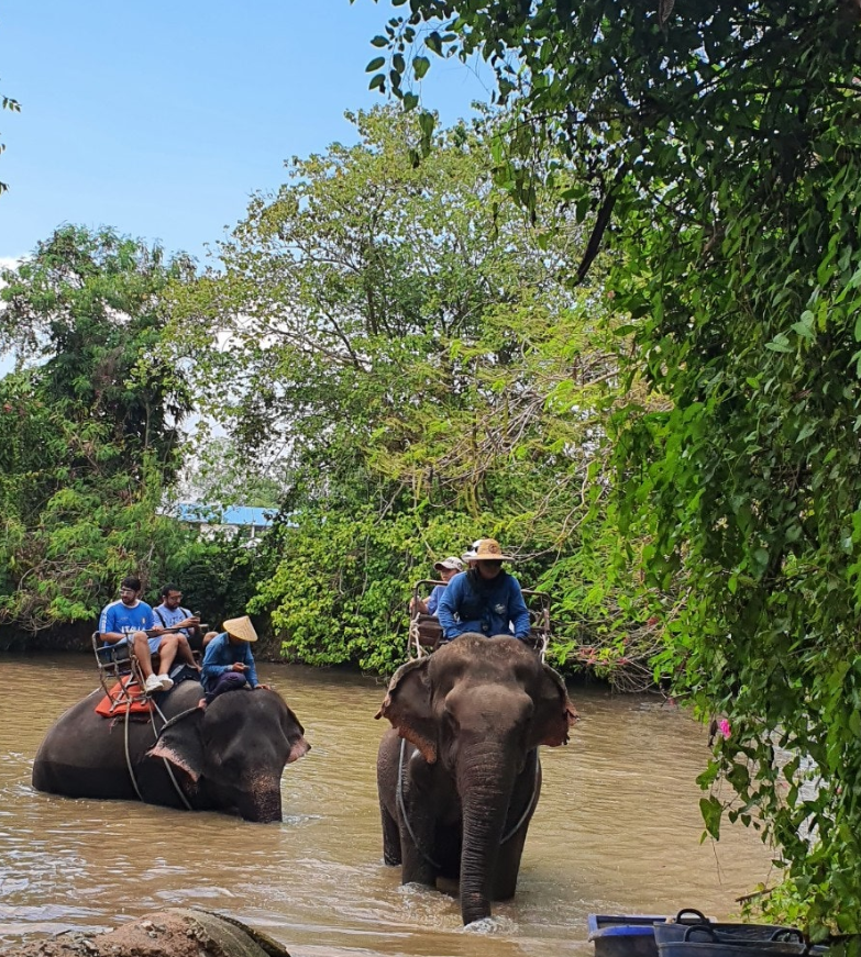 [방콕] 태국 방콕, 파타야 여행후기(리얼개인후기)