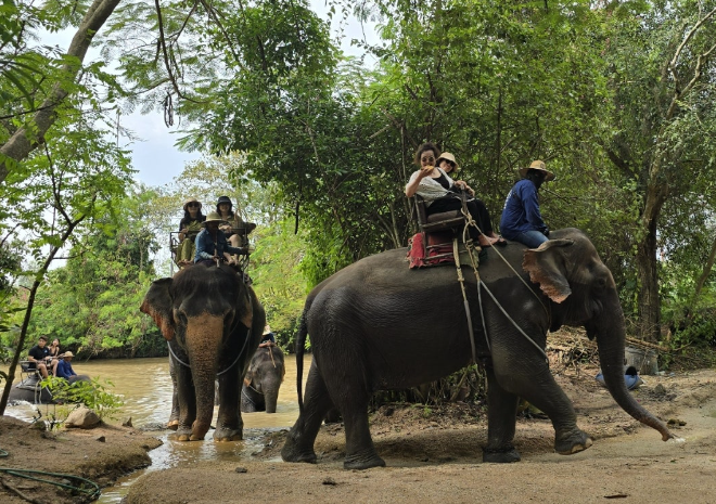 [방콕] 50대 후반 방콕자유여행 도전후기