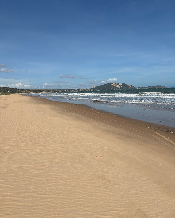 [호치민] 호치민 2박 4일 여행 후기!