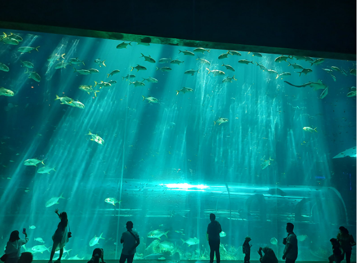 [푸꾸옥] 가이드맨과 함께한 너무 만족한 푸꾸옥 여행 후기입니다.