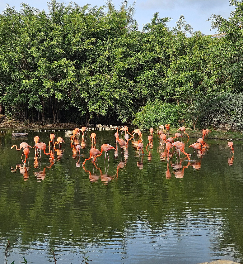 [나트랑] 4박6일"화화"가이드랑 행복한시간~