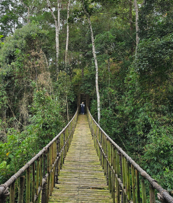[나트랑] 보라가이드님과 함께한 달랏여행