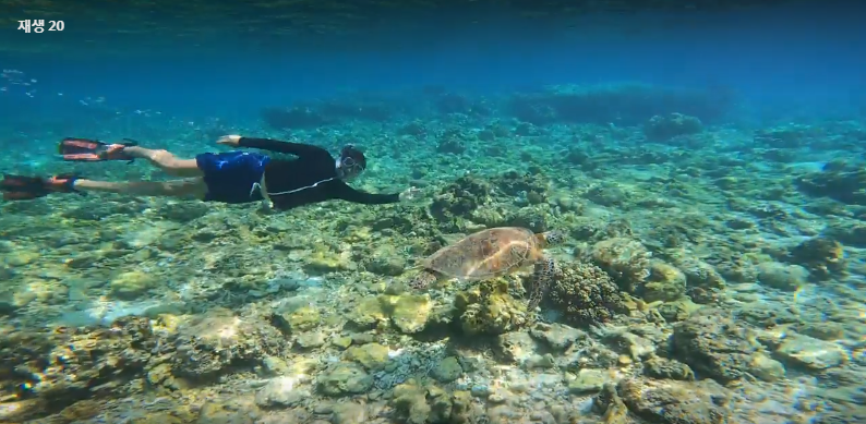 [보홀] 발리카삭!! moon"가이드님 작품입니다 ㅎㅎ