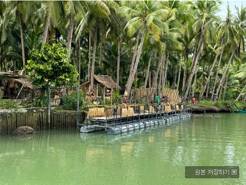 [보홀] 보홀 여행 한달 뒤 (엠마 가이드님 최고)