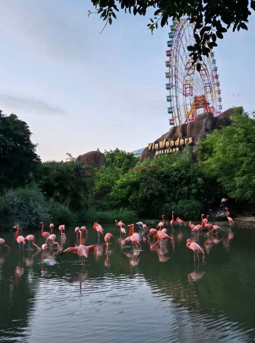 [나트랑] 11월8~12 3가족이 함께한 여행(아리가이드님)