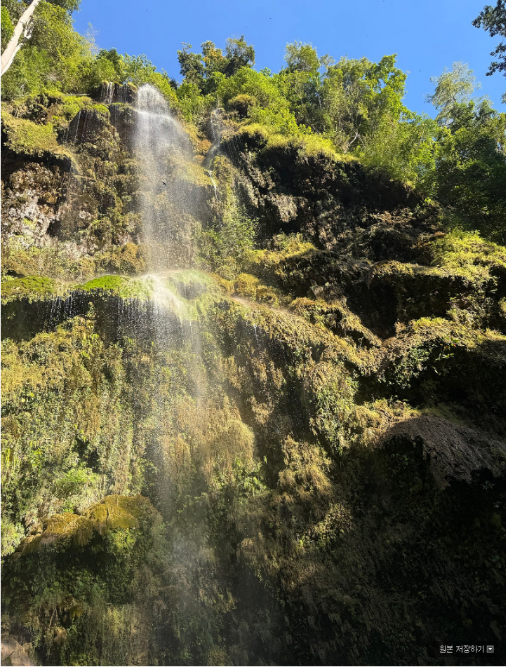 [세부] 가이드맨을 통해 다녀온 만족스러운 세부후기❤️