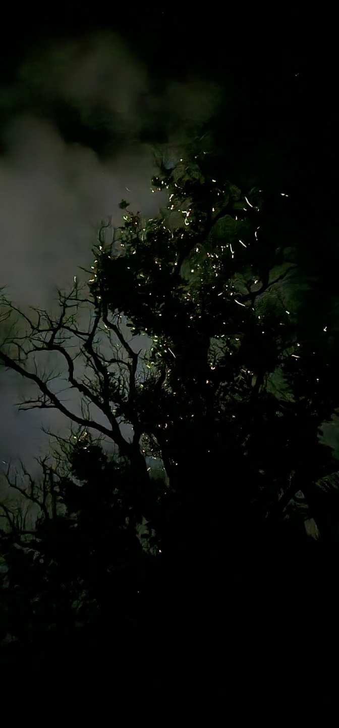 엠마 가이드님과 함께 한 보홀 가족여행