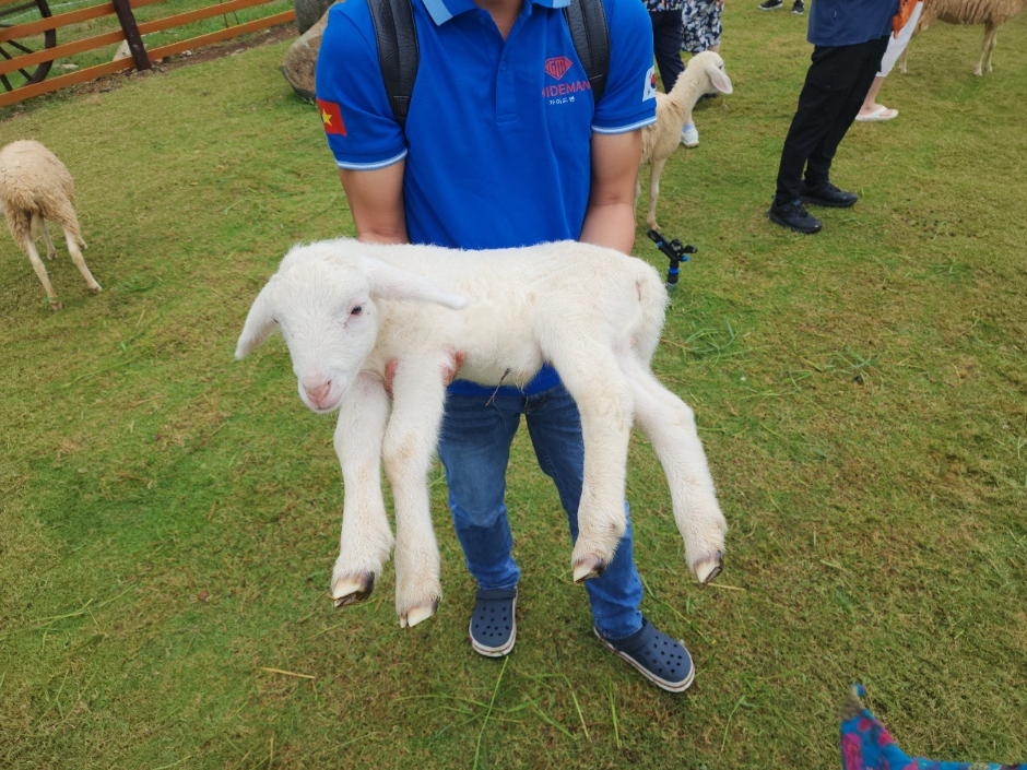 [나트랑] 쭝 가이드와 함께한 모녀 여행 후기