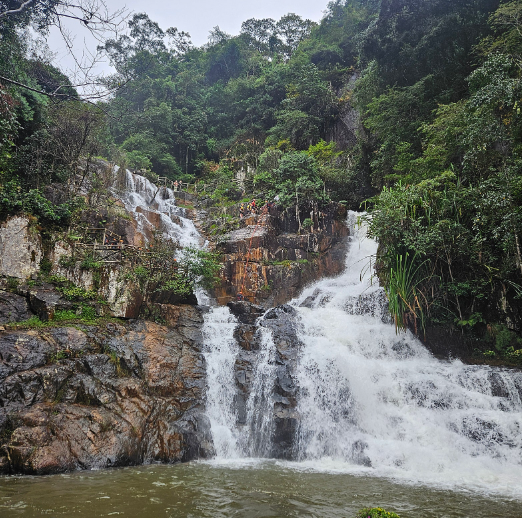 [나트랑] Kim Thanh 탄 (여자) 가이드님/ Ân 기사님와 함께한 3박5일 나달랏 여행