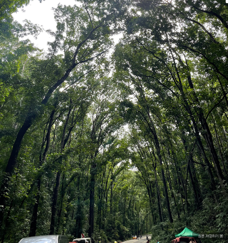 [보홀] 훈남 미키가이드님과 함께한 워크샵!!!