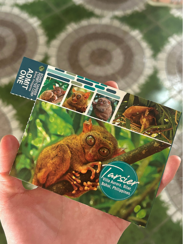 [보홀] Miki가이드삼촌과 함께한 보홀여행