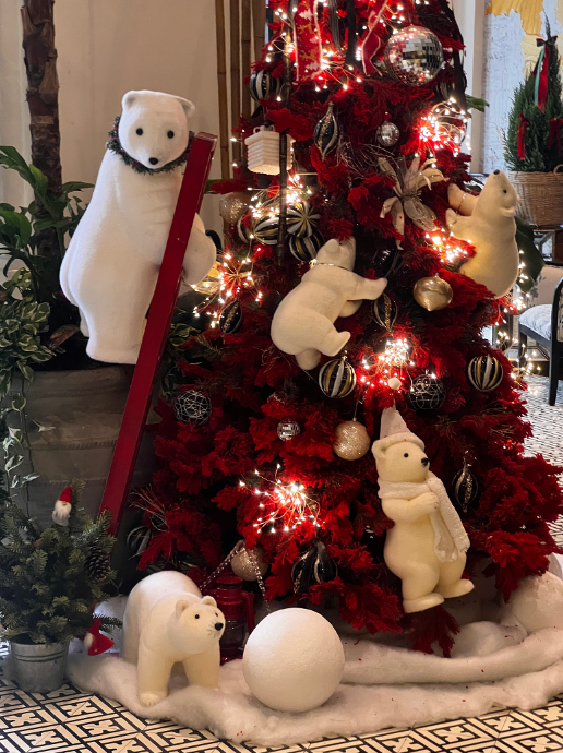 [다낭] 가이드 <수>와 함께한 3박5일 다낭 여행기 (241225~241229) 사진