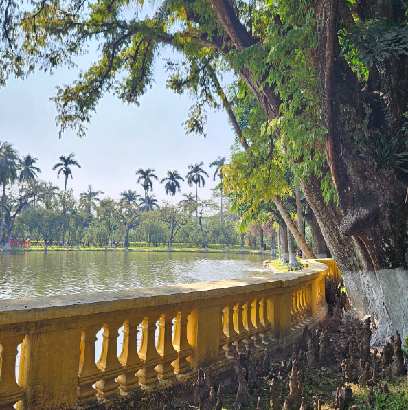 [하노이] 콜라가이드님과 하노이 가족여행 후기