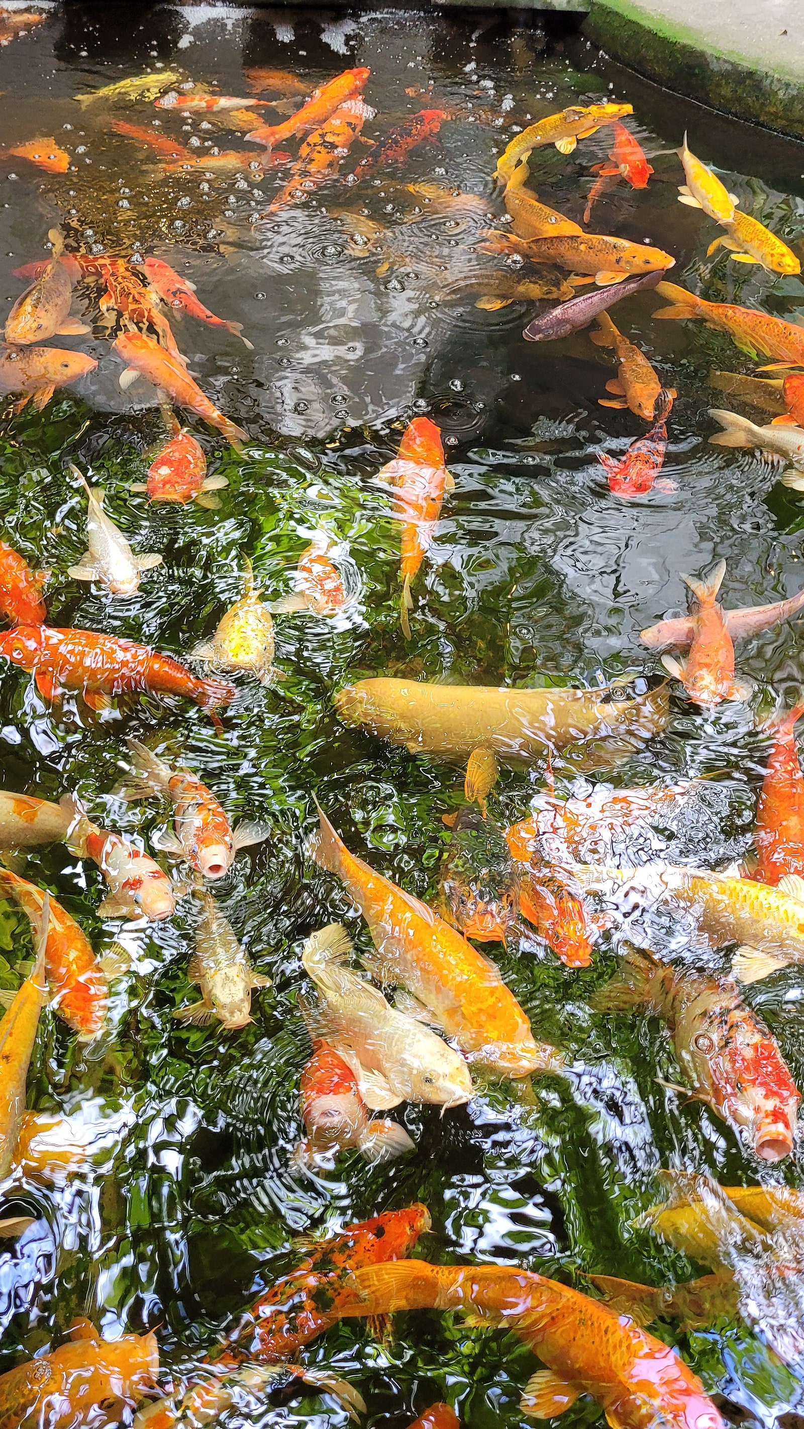 [다낭] 김민 가이드님 덕분에 다낭에서 힐링을..