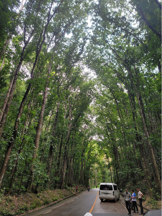 [보홀] 첫 가족보홀여행~ KC가이드님과 함께~♡ 사진