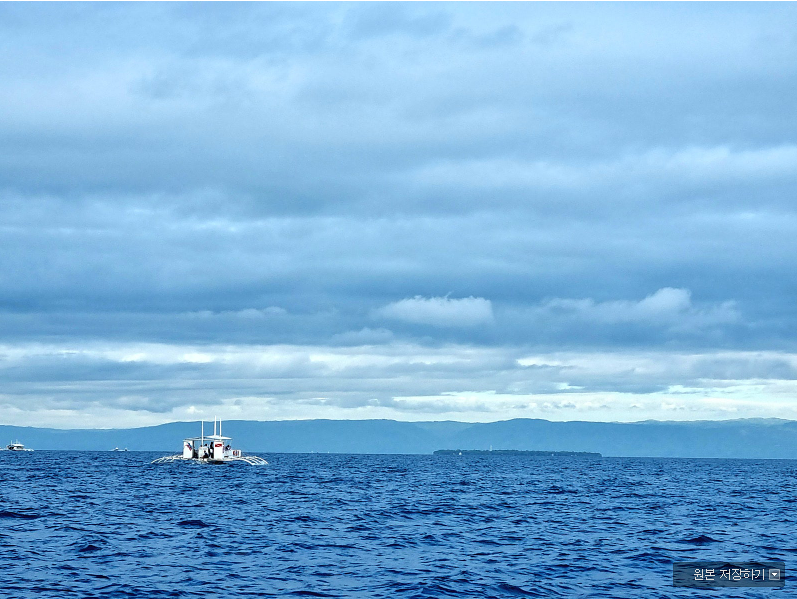 [보홀] 스윗한 사위삼고싶은 미키와 함께한 우정 보홀여행