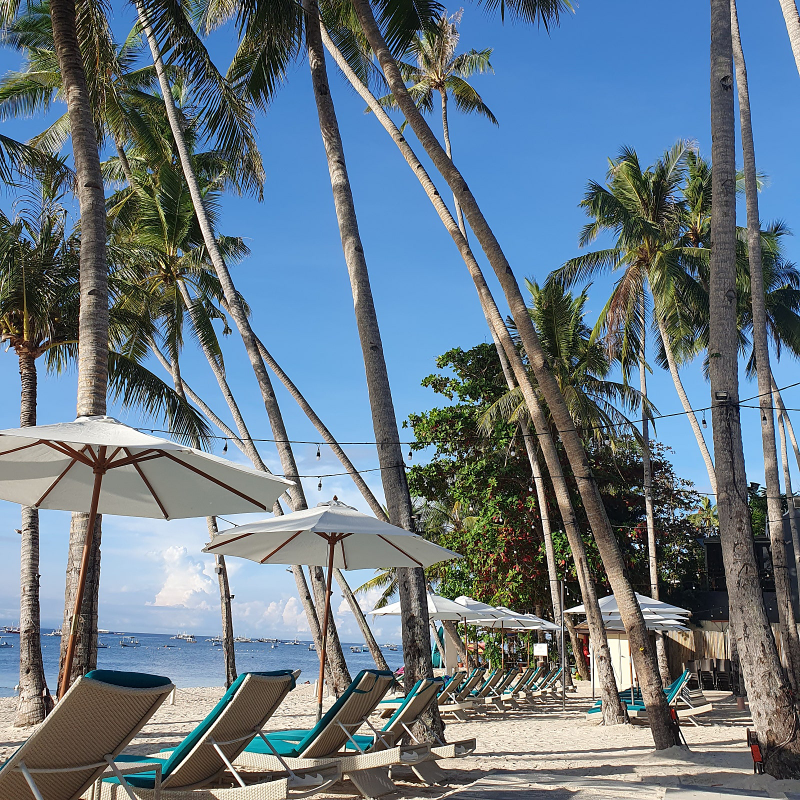 [보홀] 미키와 함께한 즐거운 부부여행입니다~^^