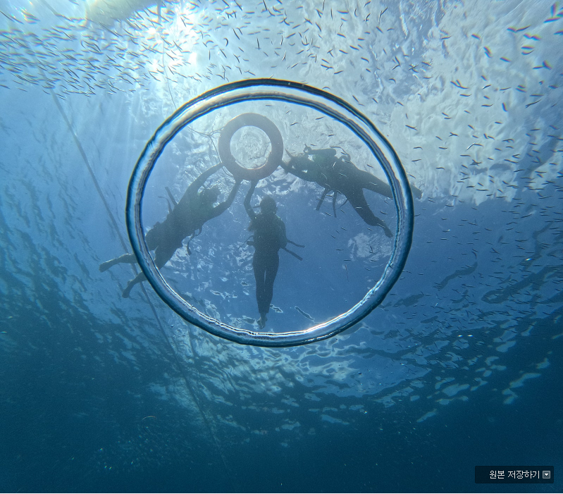 [보홀] 보홀 여행(가이드맨 미키와 함께한 알찬 여행)