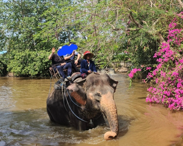 [방콕] 12월21~25일 방콕 파타야 여행