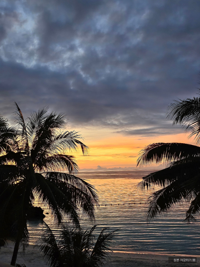 [보홀] 미키 가이드님과 함께하는 보홀 여행!