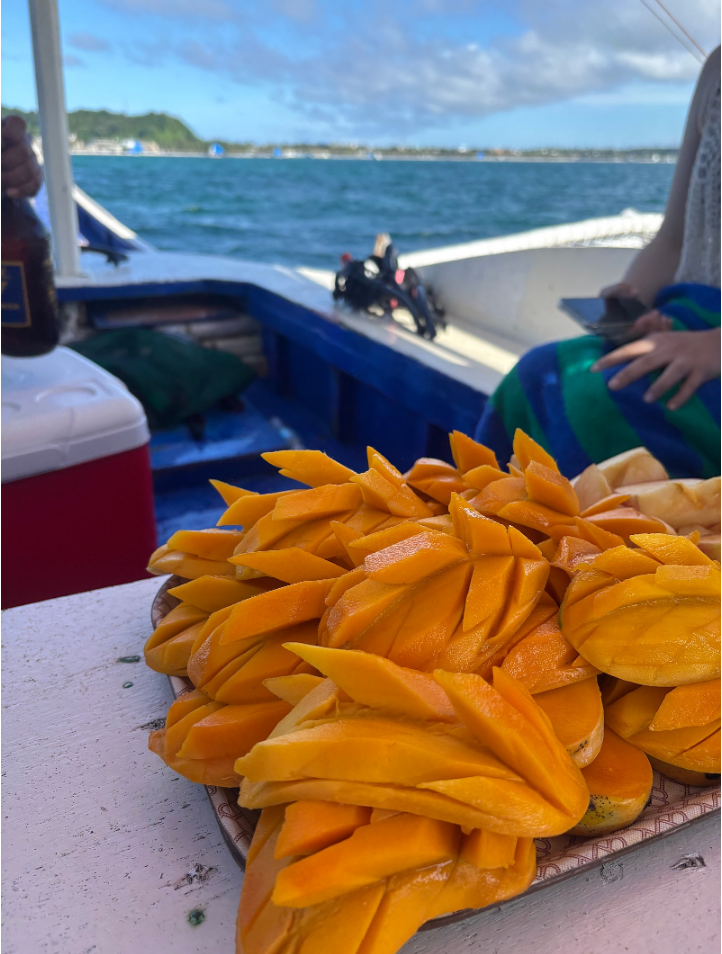 [보라카이] [여행후기] 뽀용보용 가이드님