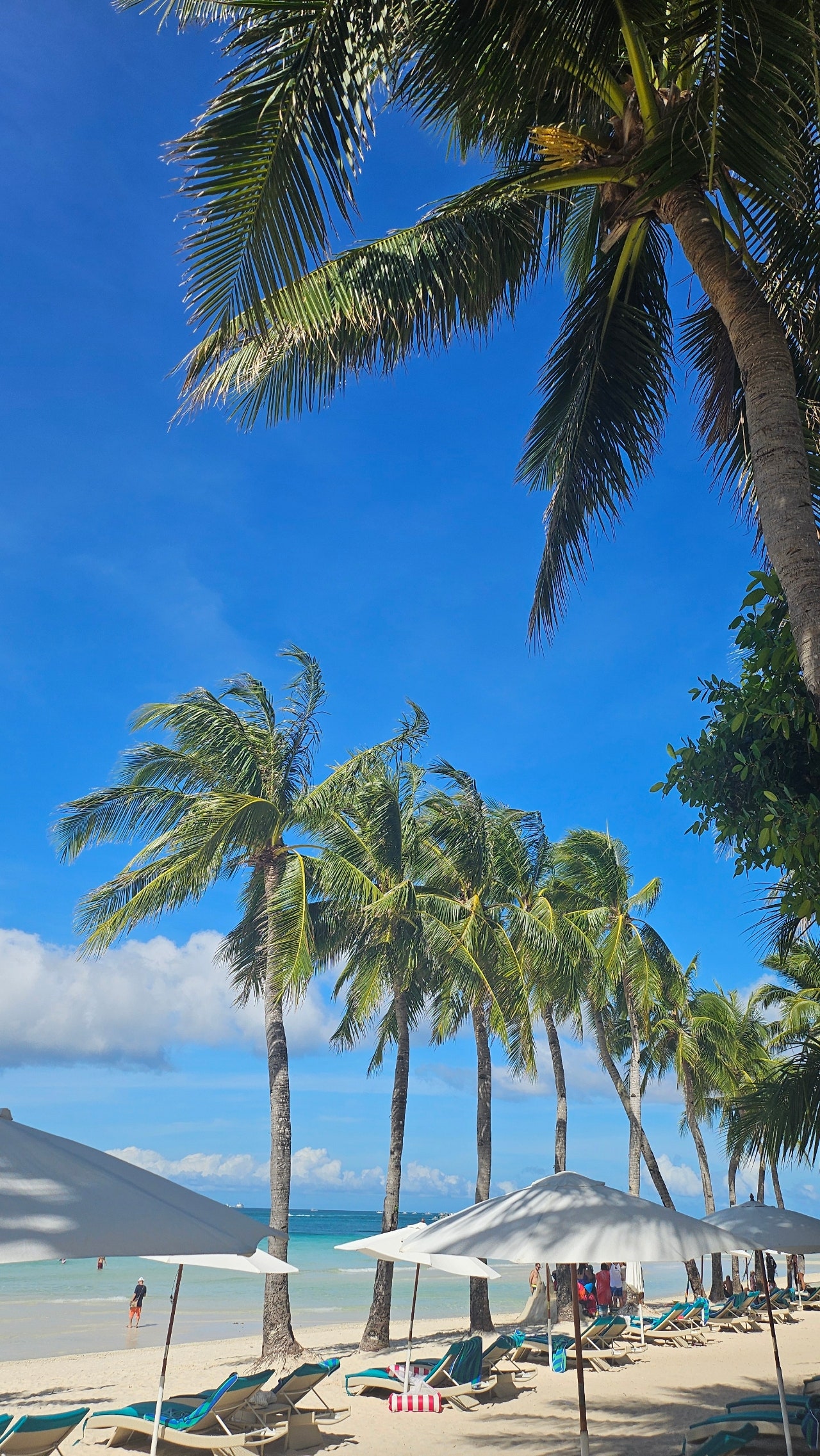 [보라카이] 딘딘과 함께한 최고의 여행♡