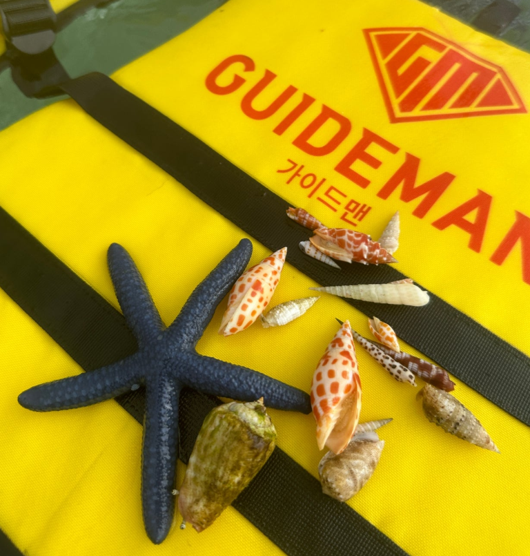 [세부] 부모님 환갑기념 잭가이드님과 세부여행