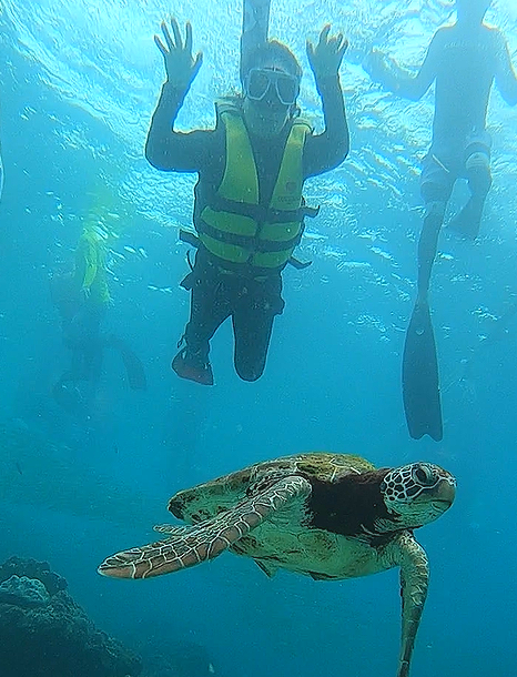 [세부] 채플린 가이드와 함께~ 아빠 퇴직기념 세부 2회차~ (Feat. 샤빌 반가웠어요~)
