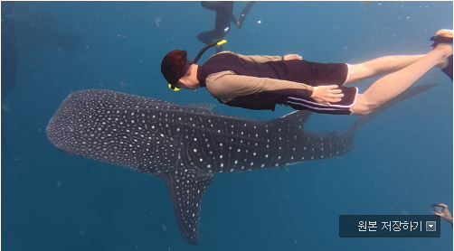 [보홀] EMMA 가이드님과 함께한 4박 5일 보홀 여행