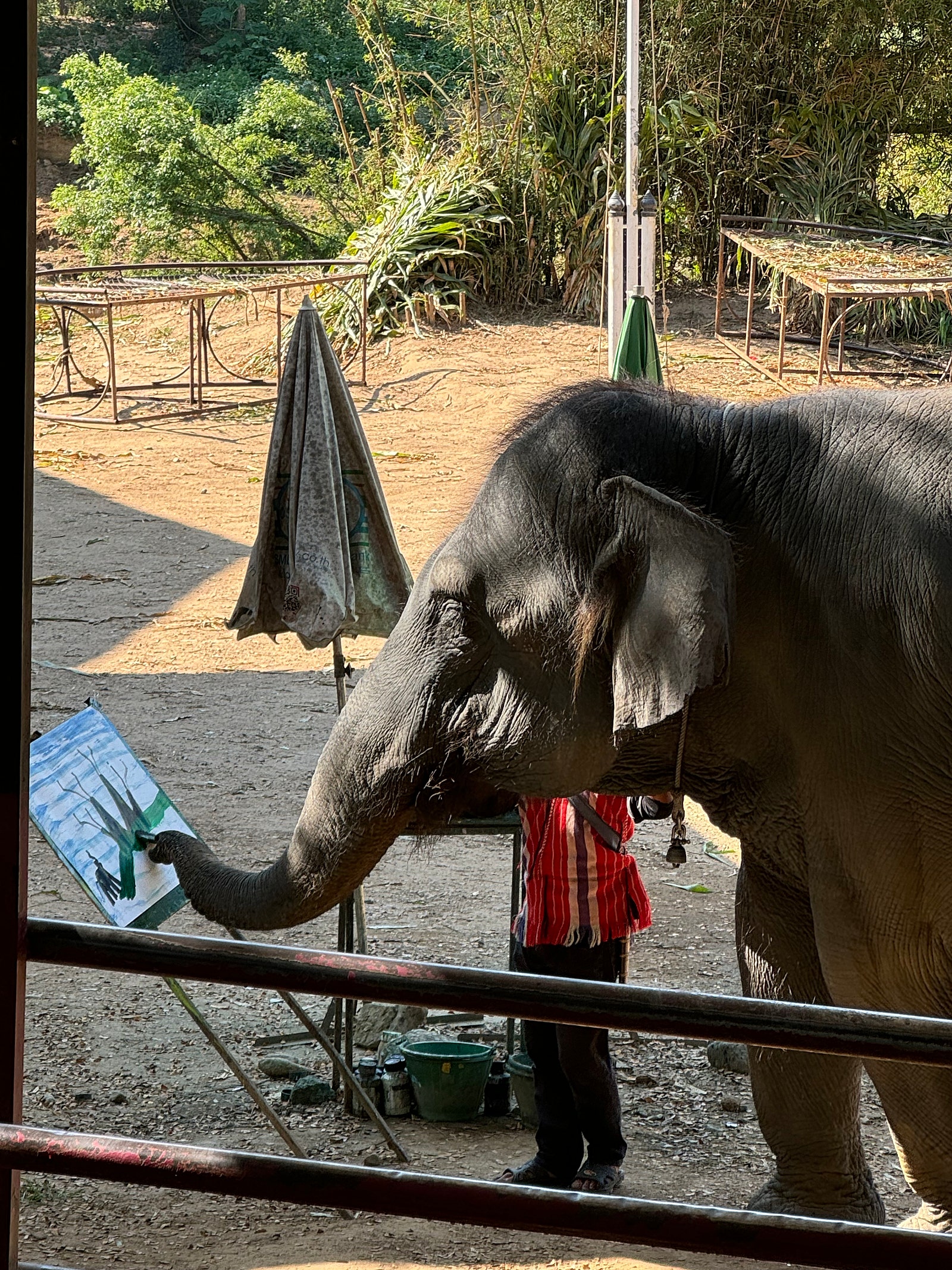 [치앙마이] 4박6일 치앙마이