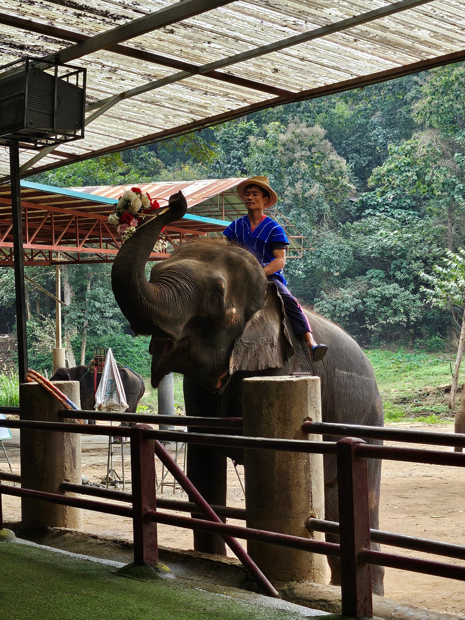 [치앙마이] 치앙마이 3박5일 단독투어!