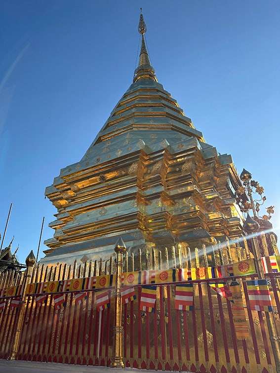 [치앙마이] 후기가 좋아 이용하게 된 가이드맨 치앙마이 3박5일 단독투어!!