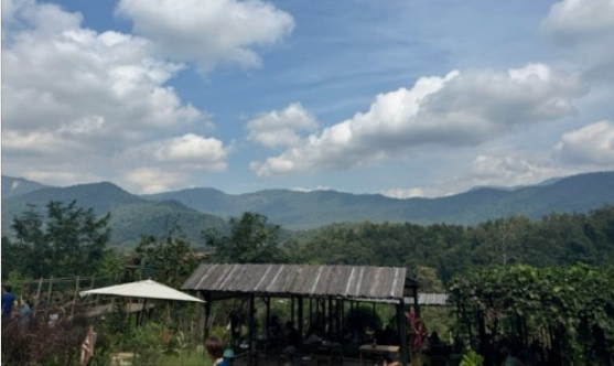 [치앙마이] 치앙마이 3박5일 효도여행 2일차