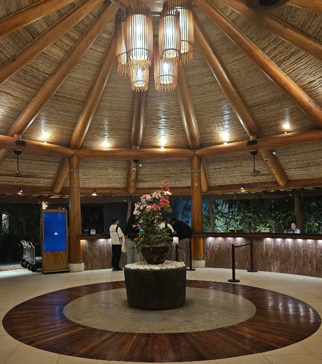 [세부] 세부 여행 후기